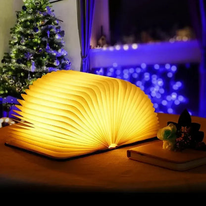 Premium Book Desk Lamp