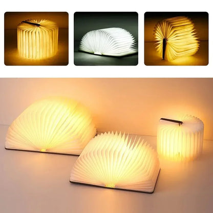 Premium Book Desk Lamp