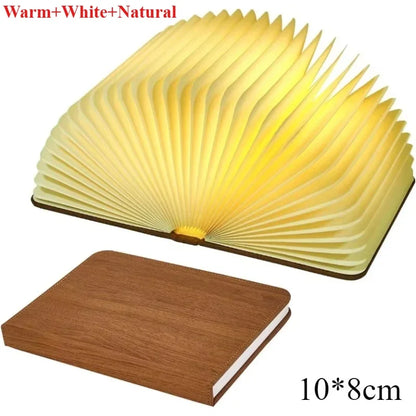 Premium Book Desk Lamp